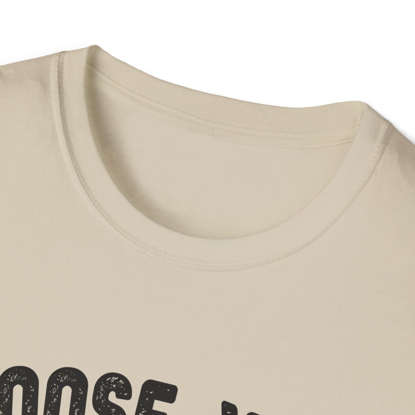 Choose Your Weapon - to fly the plane!