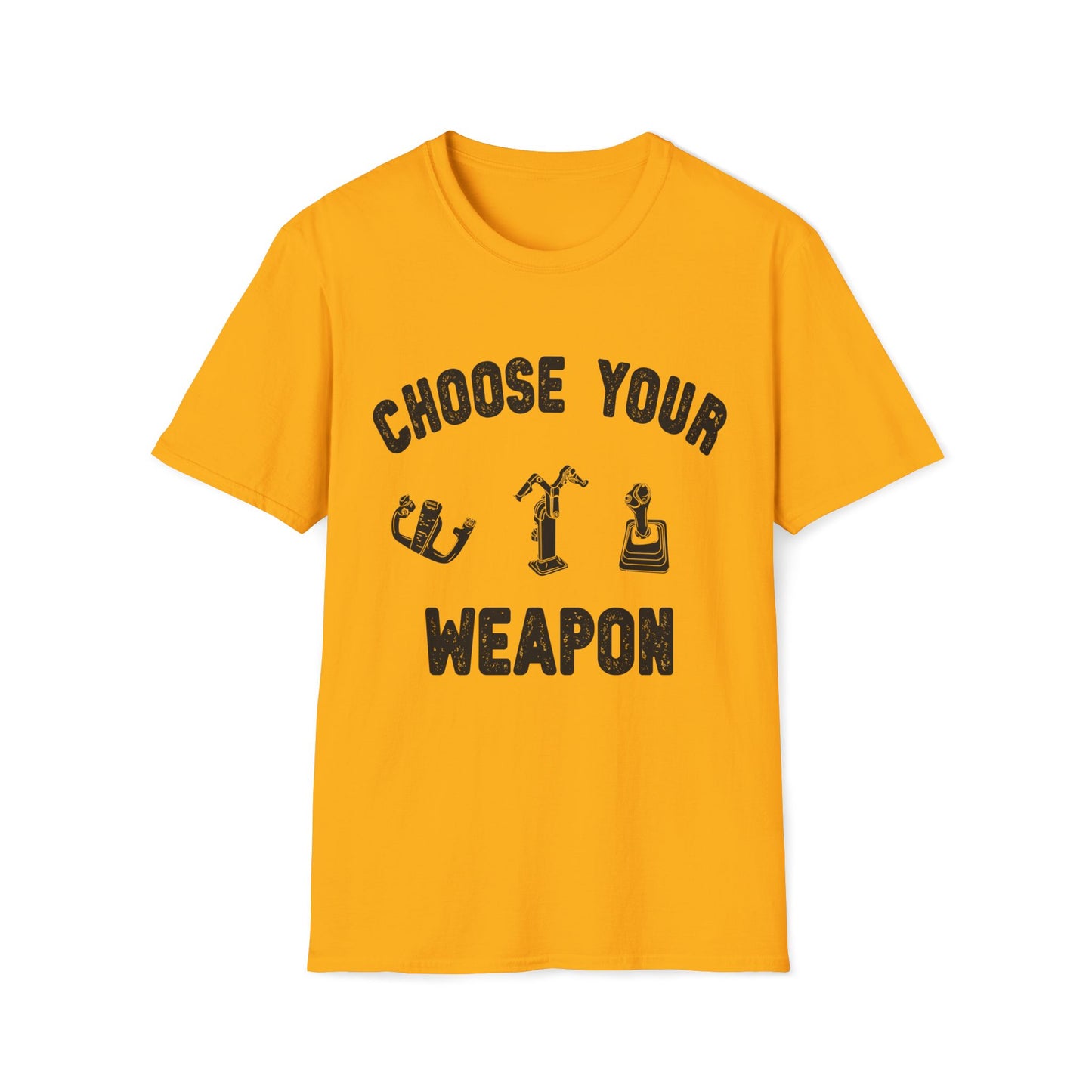 Choose Your Weapon - to fly the plane!