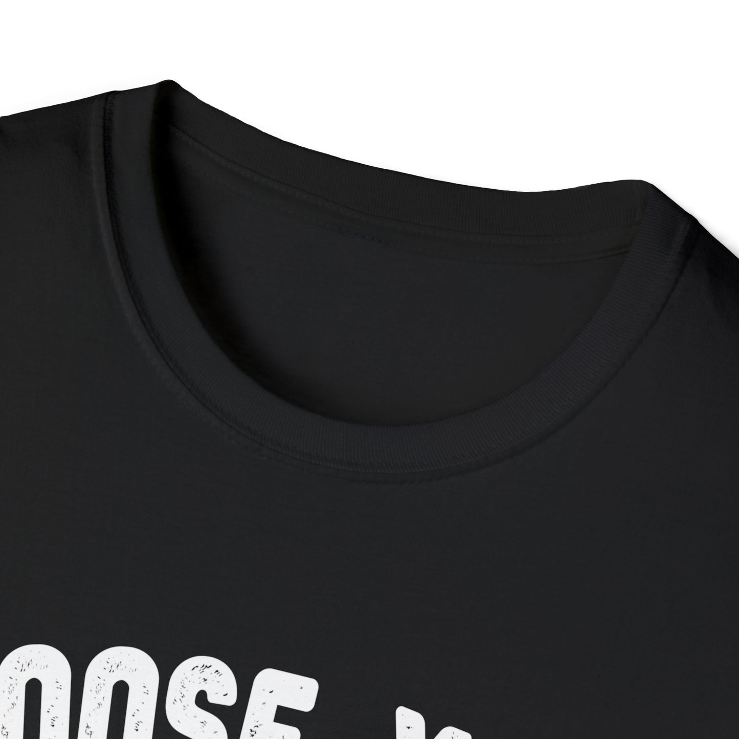 Choose Your Weapon - to fly the plane!