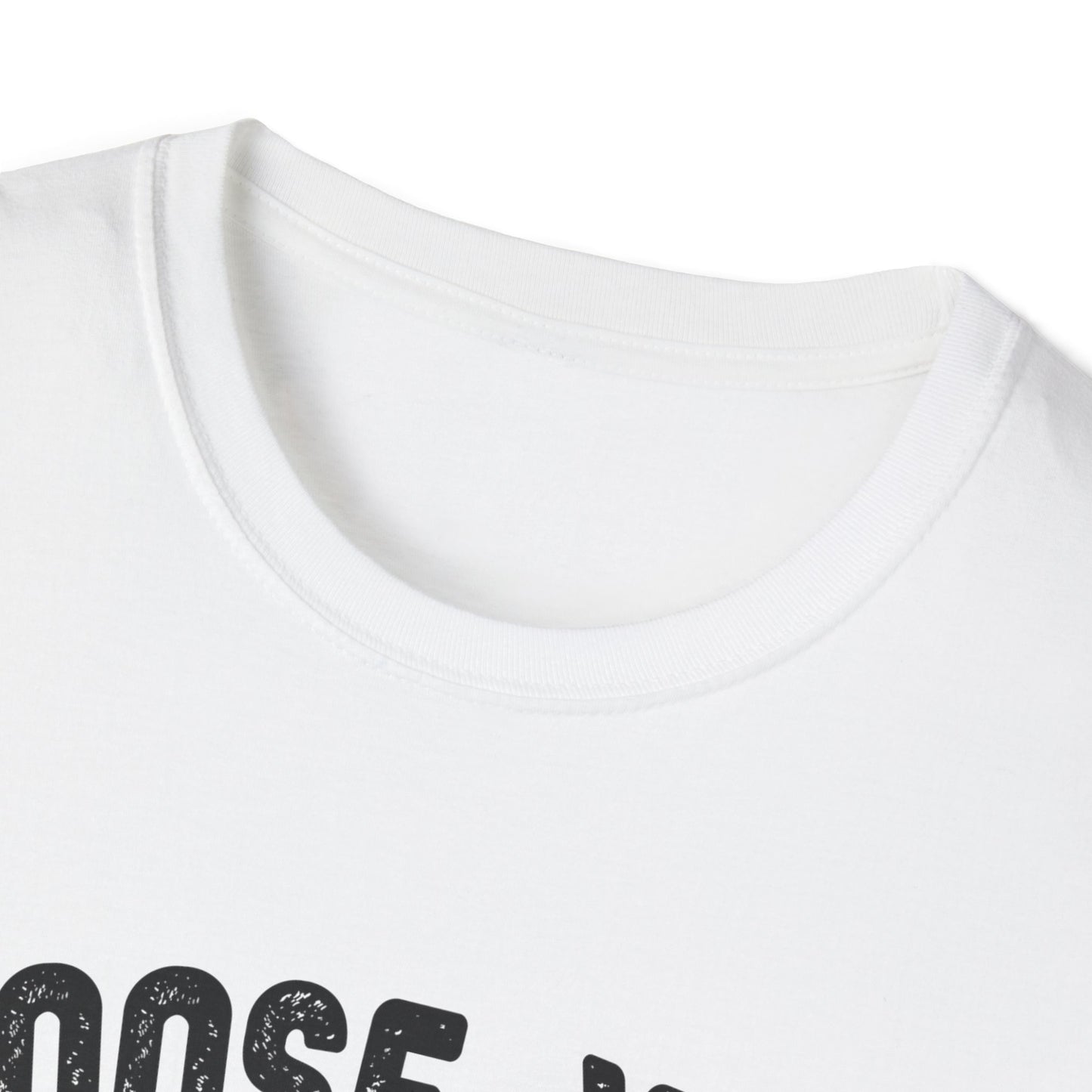 Choose Your Weapon - to fly the plane!